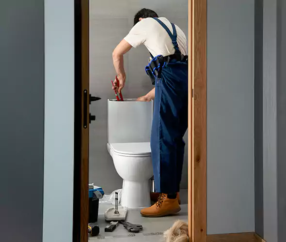 Professional Plumbers for Toilet Bowl Replacement in Reedley, CA: Schedule Affordable Toilet Replacement Services With Us