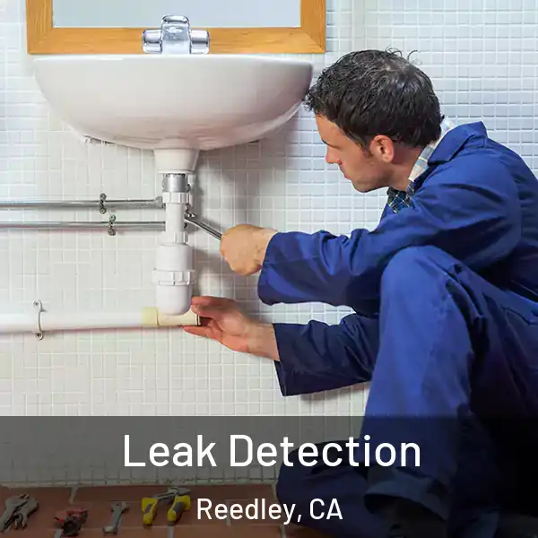  Leak Detection Reedley, CA