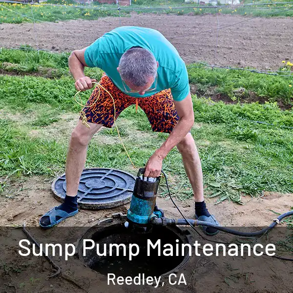  Sump Pump Maintenance Reedley, CA