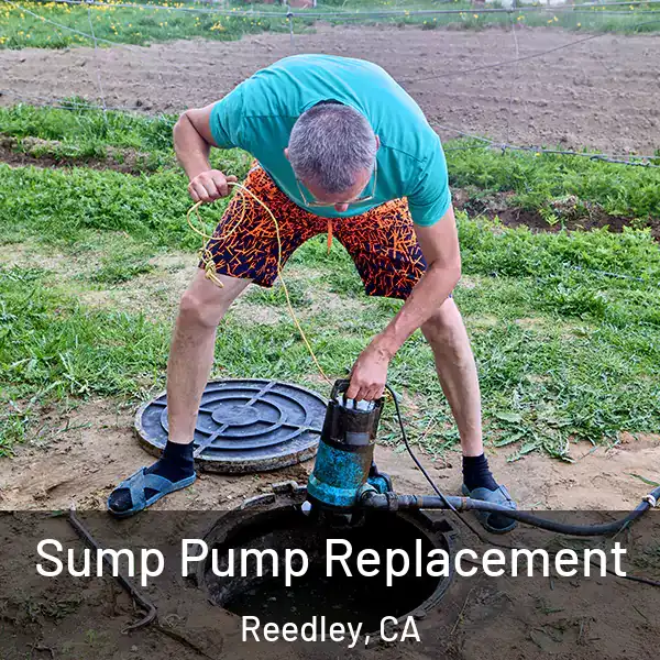  Sump Pump Replacement Reedley, CA