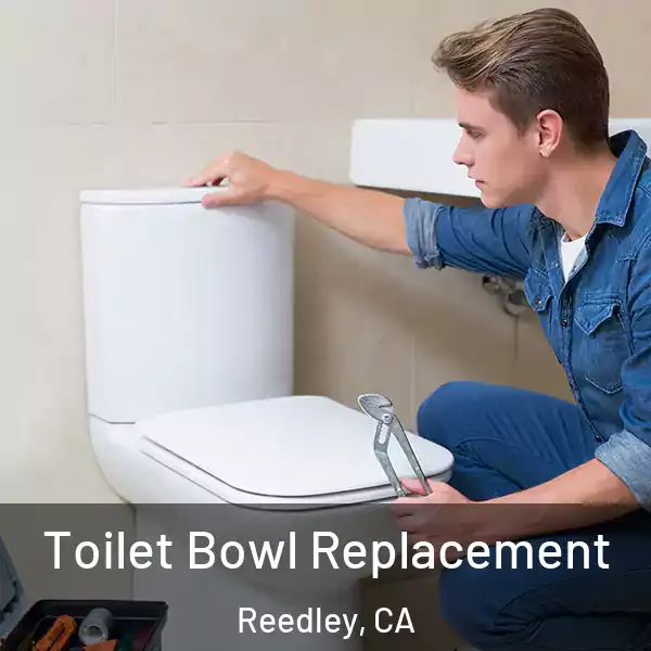  Toilet Bowl Replacement Reedley, CA